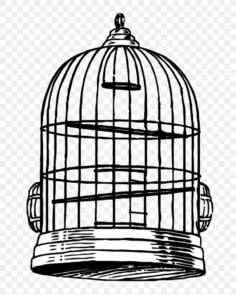 Birdcage Drawing Clip Art, PNG, 725x1024px, Cage, Bird, Birdcage, Black And White, Color Download Free