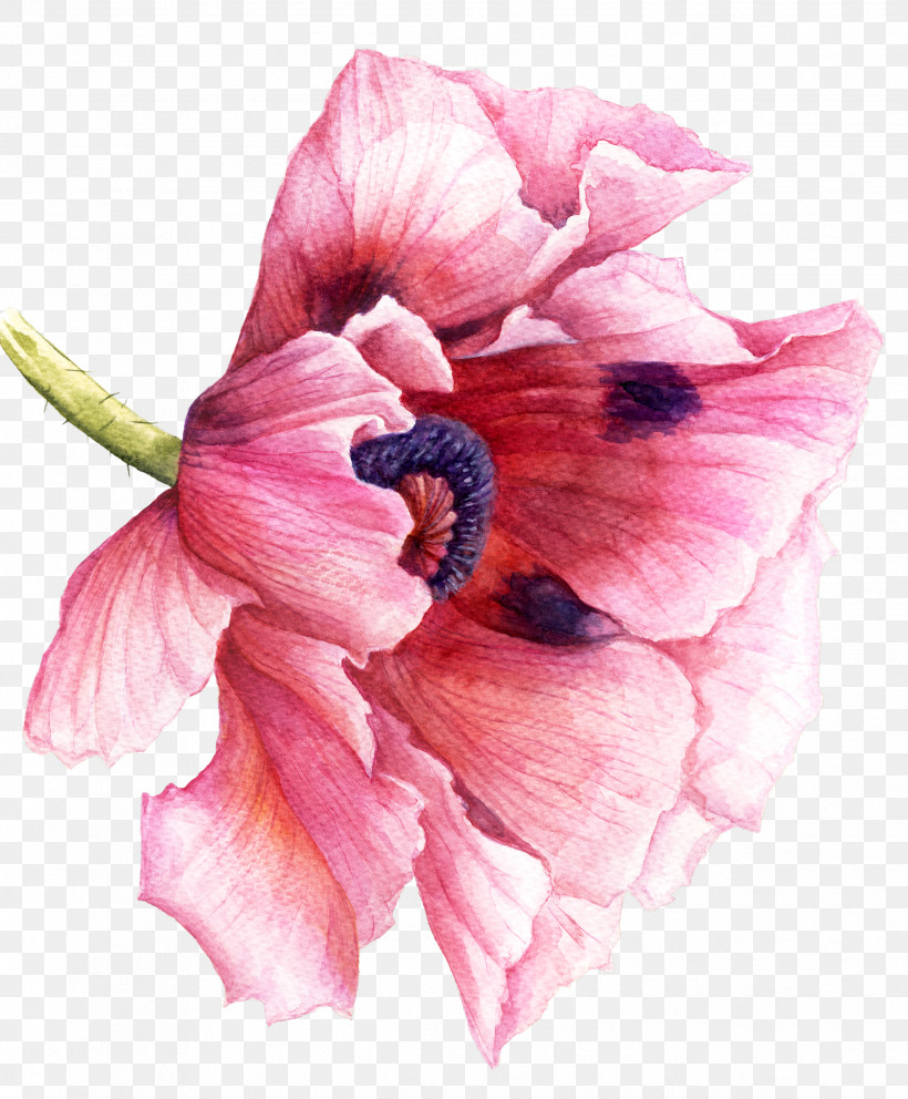 Watercolor Painting Drawing Painting Poppy Sculpture, PNG, 2478x3000px, Watercolor Painting, Cartoon, Drawing, Flower, Painting Download Free