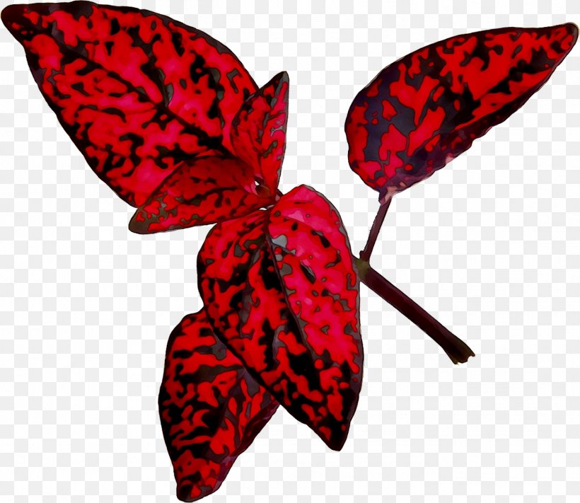 Brush-footed Butterflies Moth Leaf RED.M, PNG, 1355x1175px, Brushfooted Butterflies, Butterfly, Insect, Invertebrate, Leaf Download Free
