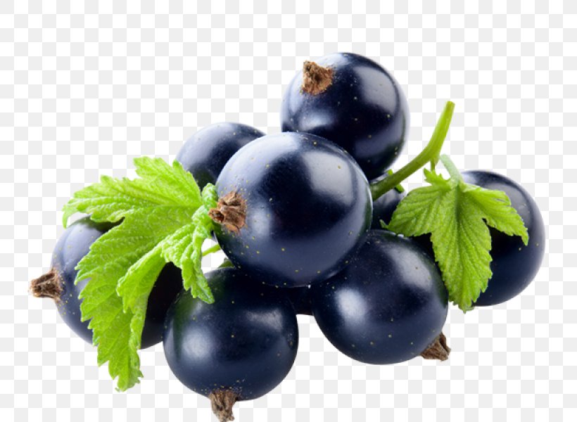 Gooseberry Zante Currant Blackcurrant Bilberry Flavor, PNG, 800x600px, Gooseberry, Berry, Bilberry, Blackcurrant, Blackcurrant Seed Oil Download Free