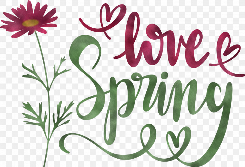 Love Spring Spring, PNG, 3000x2051px, Spring, Computer, Floral Design, Flower, Magenta Download Free