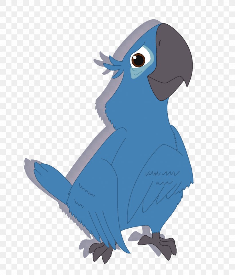 Macaw Parrot Beak Feather, PNG, 1367x1600px, Macaw, Beak, Bird, Blue, Cobalt Download Free