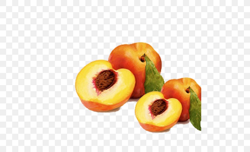 Peach Fruit Download Computer File, PNG, 500x500px, Peach, Concepteur, Diet Food, Food, Fruit Download Free