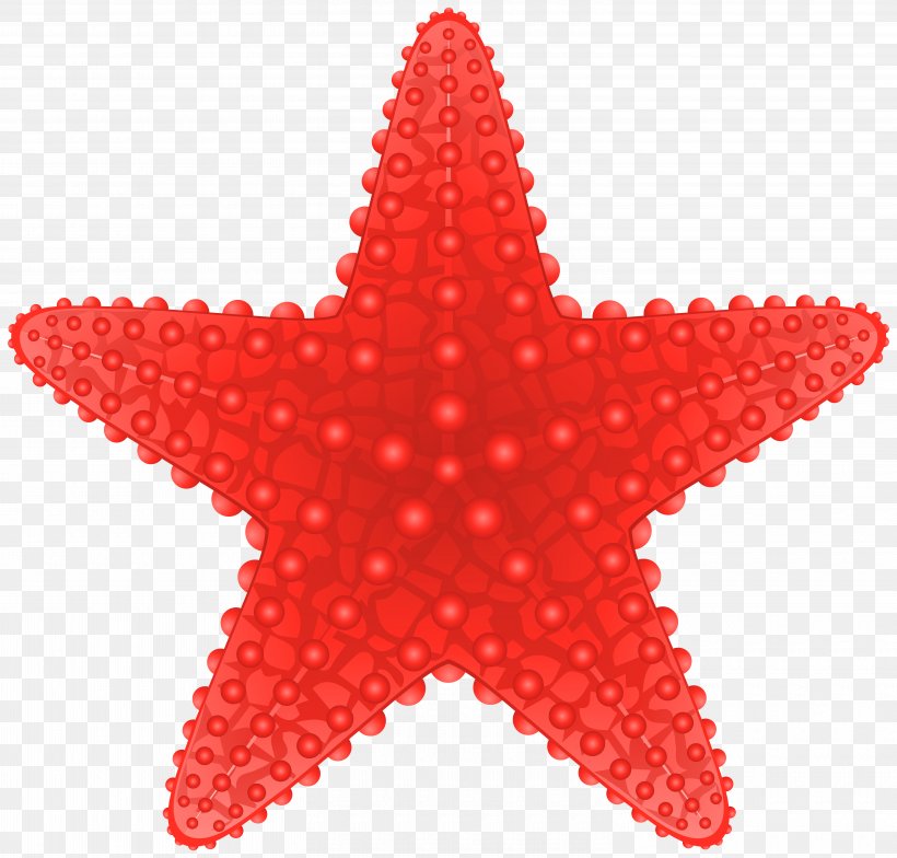 Starfish Clip Art, PNG, 6000x5741px, Starfish, Animal, Basket Star, Brittle Star, Color Download Free
