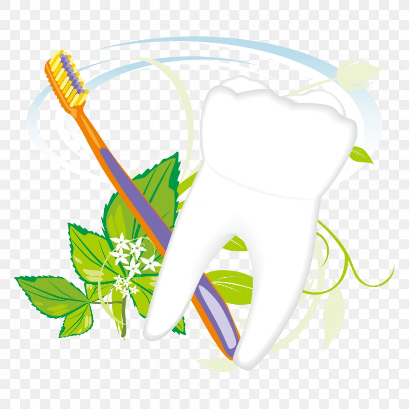 Toothbrush Euclidean Vector, PNG, 1000x1000px, Tooth, Art, Dentistry, Flower, Grass Download Free