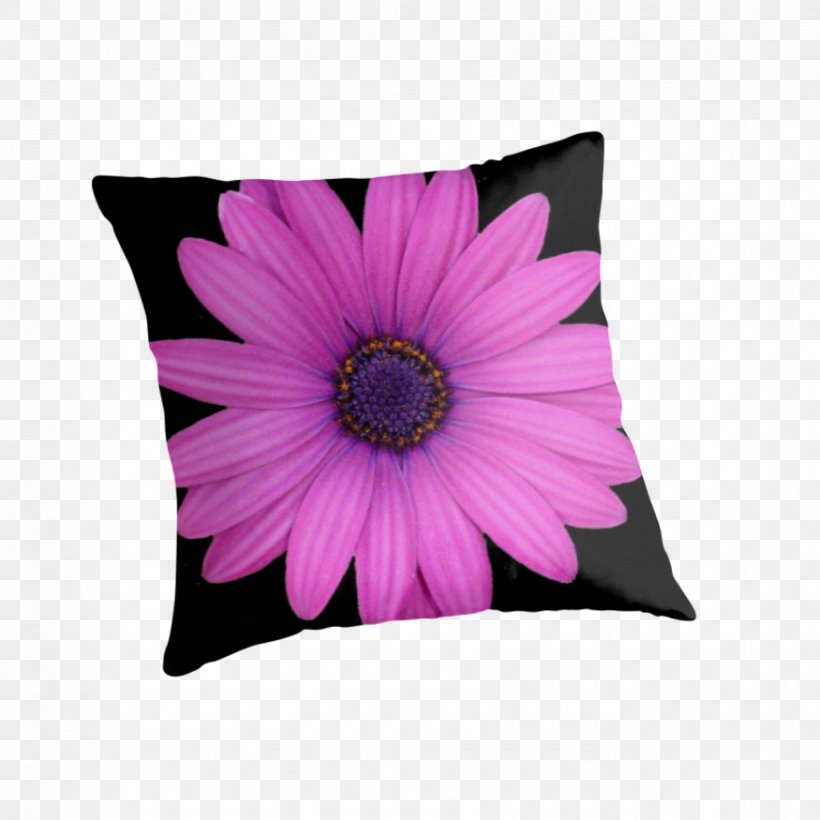 Cushion Throw Pillows Minions Transvaal Daisy, PNG, 875x875px, Cushion, Banana, Banana Peel, Daisy Family, Despicable Me Download Free