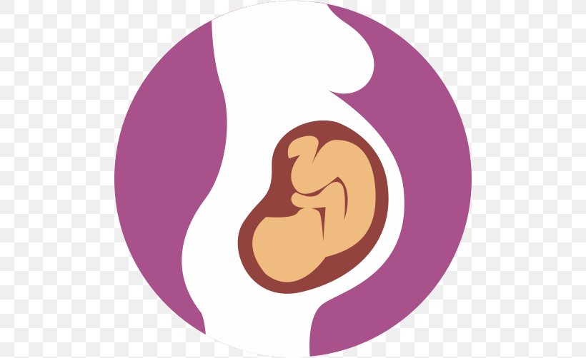 Fetus Alcohol And Pregnancy Infant Childbirth, PNG, 501x502px, Fetus, Alcohol And Pregnancy, Child, Childbirth, Doula Download Free