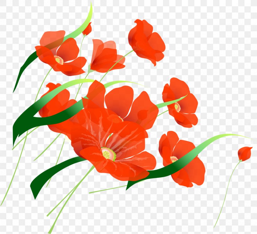 International Workers' Day Ansichtkaart Holiday May 1, PNG, 1200x1094px, International Workers Day, Ansichtkaart, Birthday, Coquelicot, Cut Flowers Download Free
