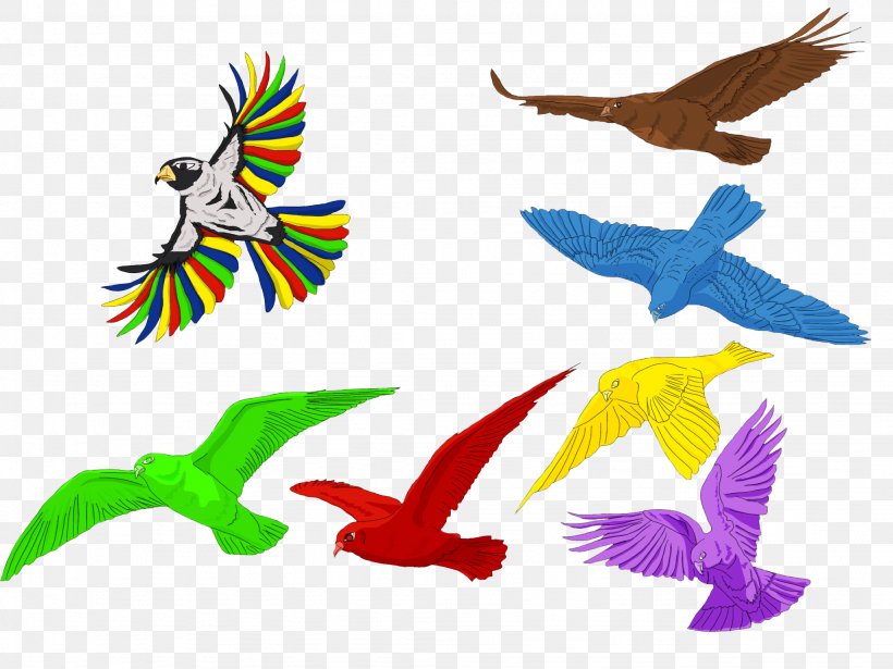 Macaw Feather Beak Wing Parakeet, PNG, 2048x1536px, Macaw, Animal, Animal Figure, Beak, Bird Download Free