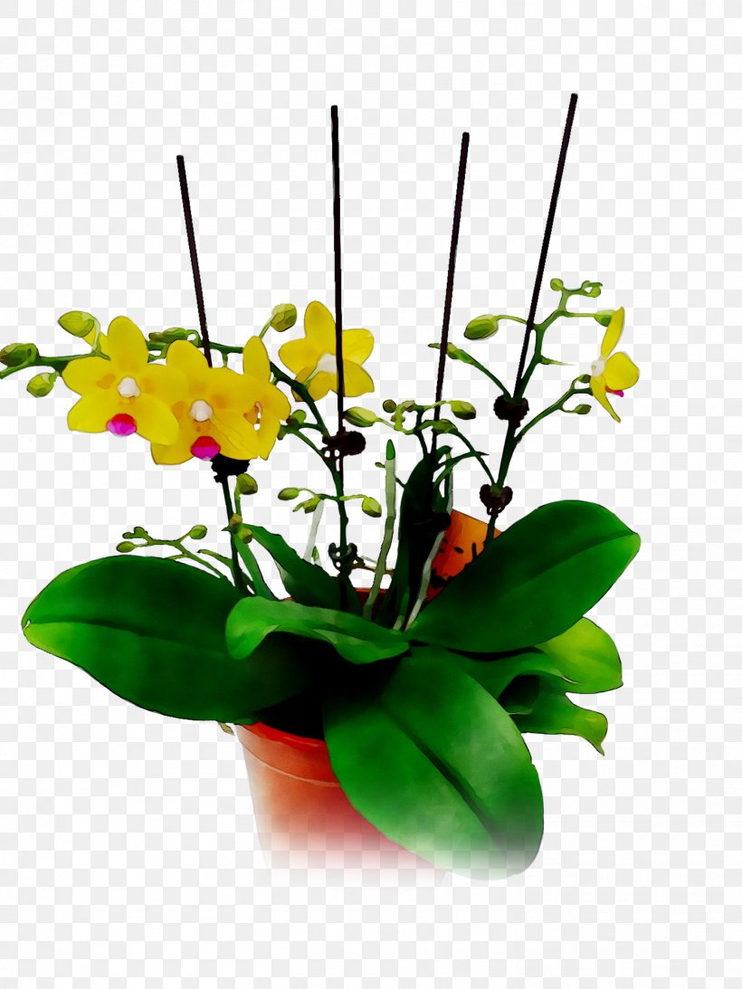 Floral Design Cut Flowers Moth Orchids Yellow, PNG, 1468x1957px, Floral Design, Anthurium, Artificial Flower, Bouquet, Cut Flowers Download Free