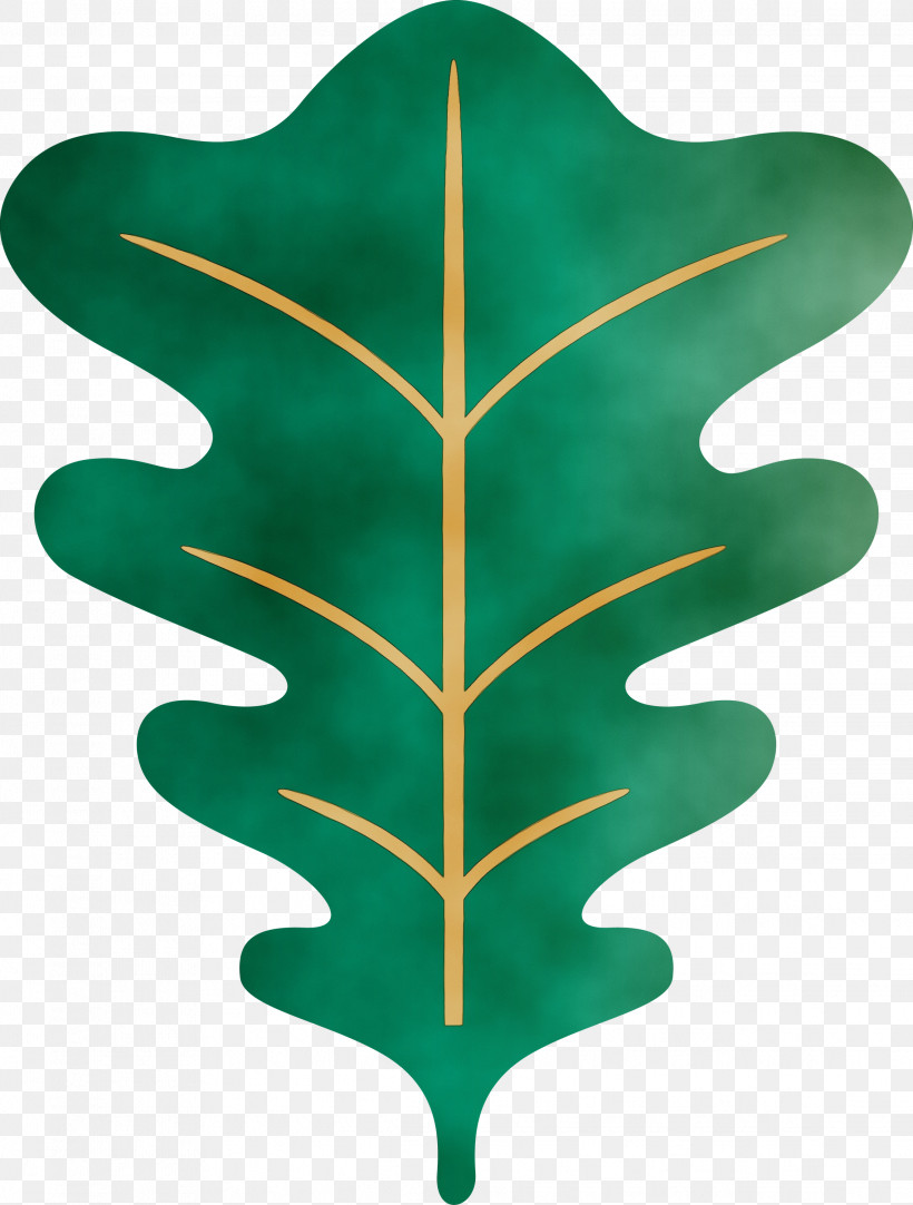 Leaf Tree Green Plants Biology, PNG, 2272x3000px, Oak Leaf, Biology, Green, Leaf, Paint Download Free