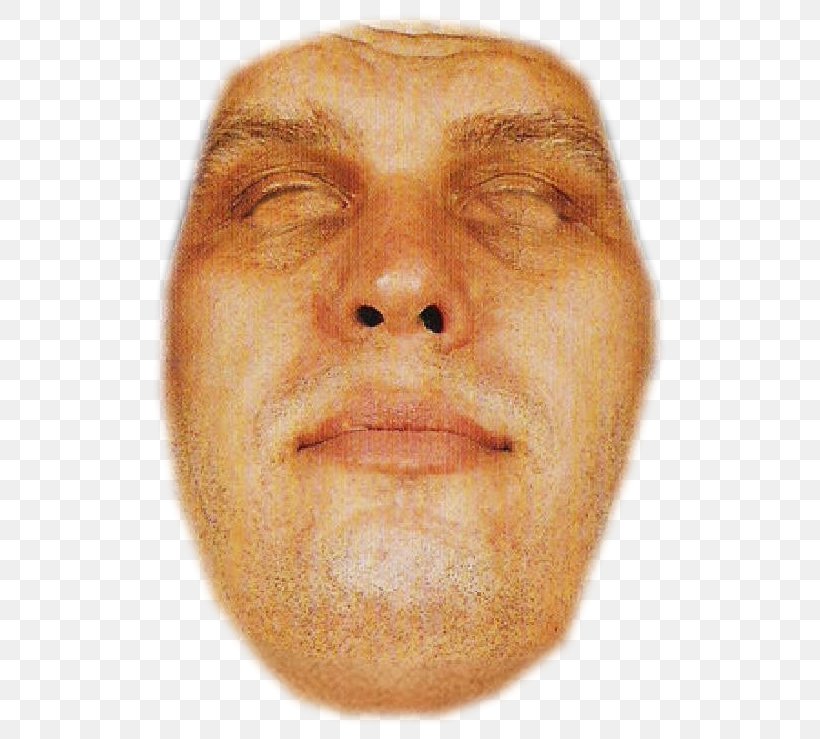 Snout Cheek Chin André The Giant Forehead, PNG, 551x739px, Snout, Cheek, Chin, Close Up, Closeup Download Free