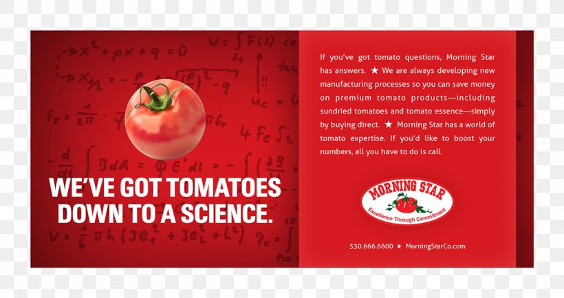 Tomato Morning Star Advertising Flyer Mercy Cancer Center, PNG, 1200x634px, Tomato, Advertising, Brand, Flyer, Fruit Download Free