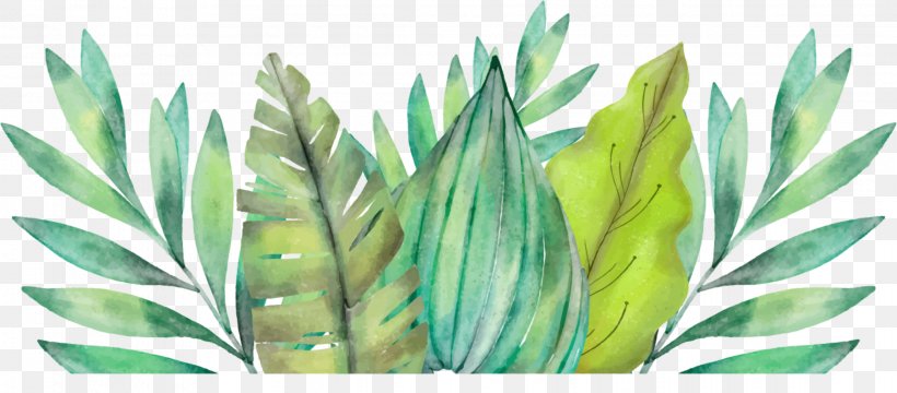 Leaf Amazon Rainforest Watercolor Painting Arecaceae, PNG, 2274x1000px, Watercolor Painting, Art, Grass, Grass Family, Leaf Download Free