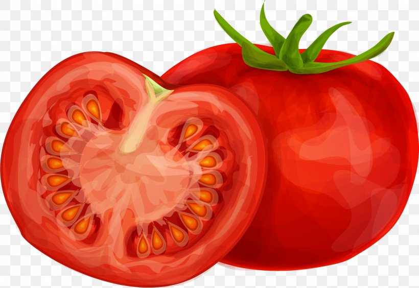 Cherry Tomato Vegetable Drawing, PNG, 1879x1294px, Cherry Tomato, Bell Peppers And Chili Peppers, Bush Tomato, Diet Food, Drawing Download Free