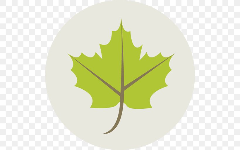 Maple Leaf, PNG, 512x512px, Maple Leaf, Ecology, Green, Icon Design, Leaf Download Free