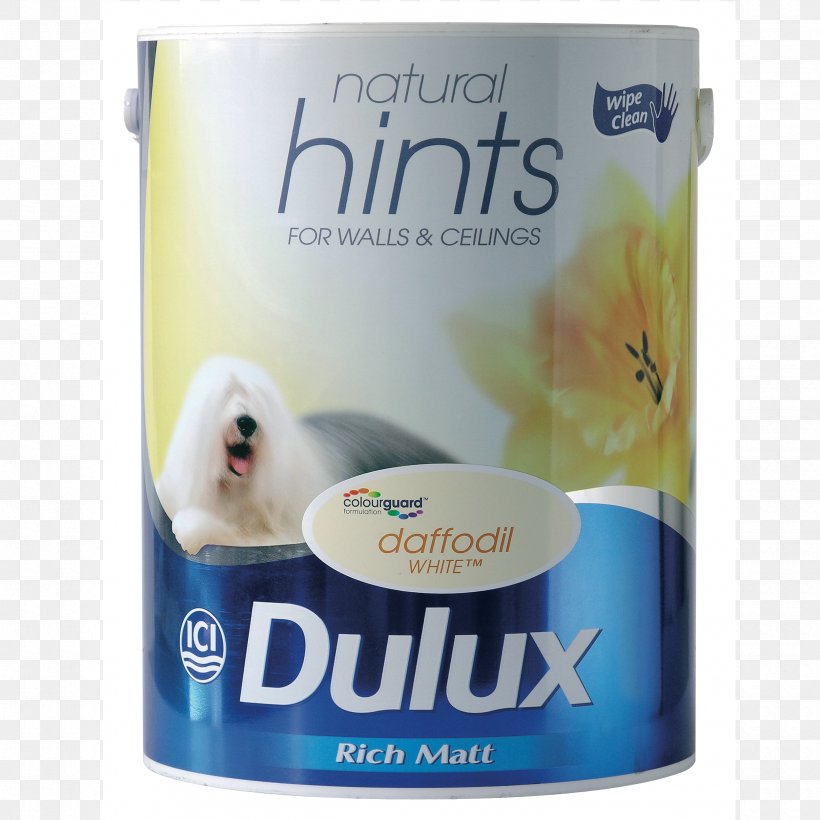 Dulux Paint Sheen Emulsion Ceiling, PNG, 2500x2500px, Dulux, Bedroom, Blue, Ceiling, Color Download Free