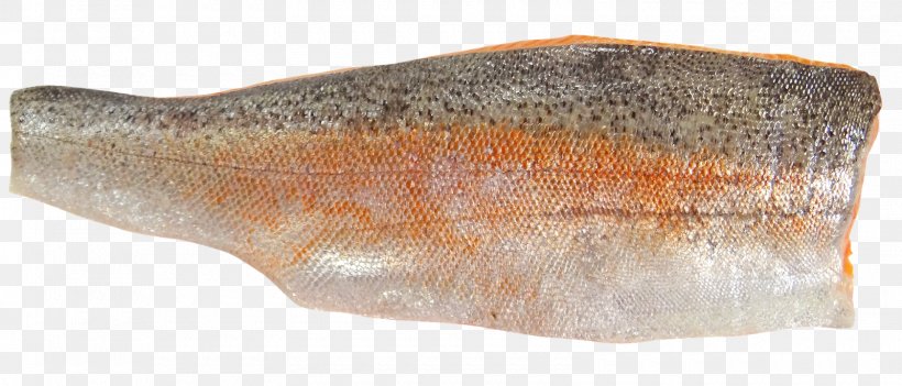 Sea Trout Fish Fillet Seafood, PNG, 1600x685px, Sea Trout, Brown Trout, Fillet, Fish, Fish Fillet Download Free