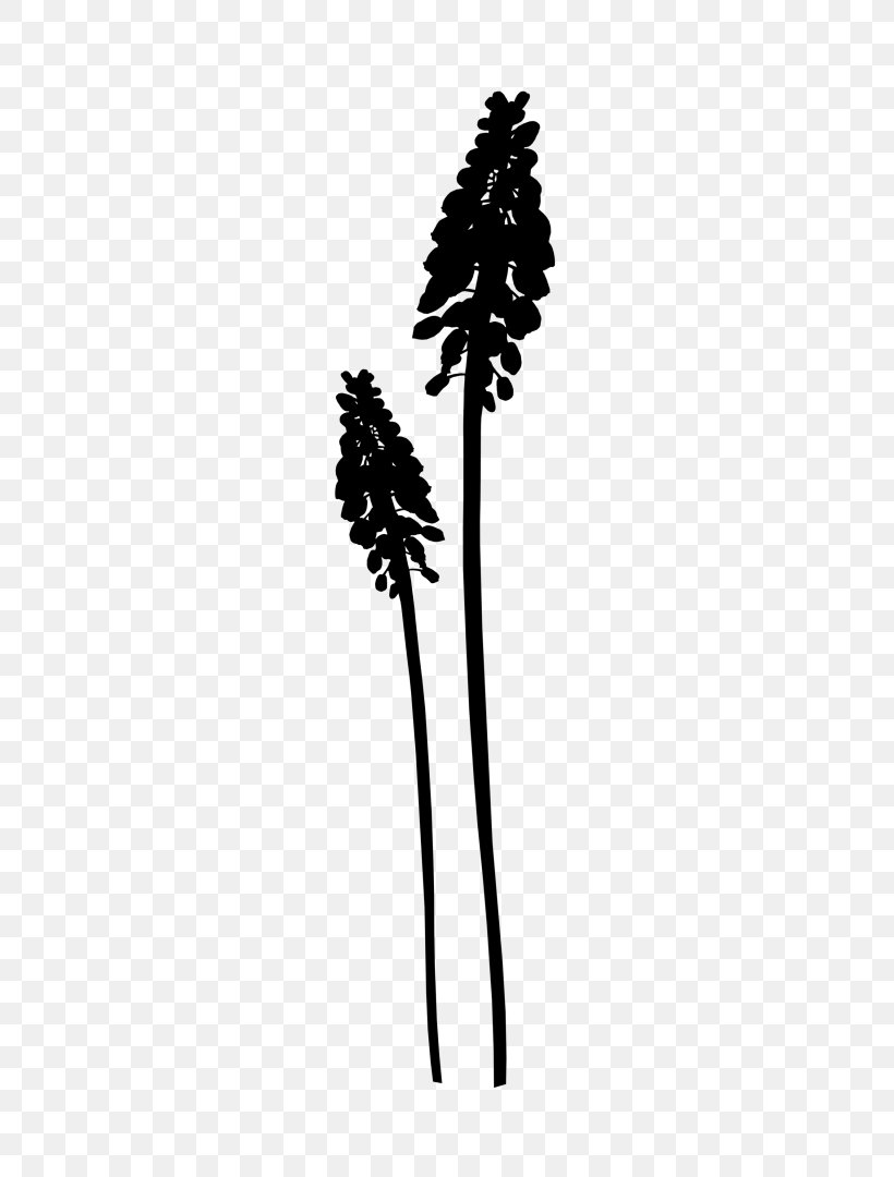 Flowering Plant Plant Stem Leaf Silhouette, PNG, 462x1080px, Flower, Blackandwhite, Brush, Flowering Plant, Leaf Download Free