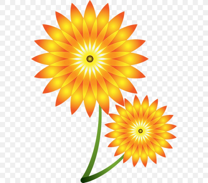 Vector Graphics Stock Photography Illustration Stock.xchng Paper, PNG, 574x720px, Stock Photography, Chrysanths, Common Sunflower, Cut Flowers, Dahlia Download Free