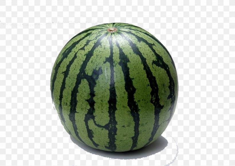 Watermelon Fruit Seed Vegetable Cucumber, PNG, 2180x1547px, Watermelon, Citrullus, Computer, Cucumber, Cucumber Gourd And Melon Family Download Free