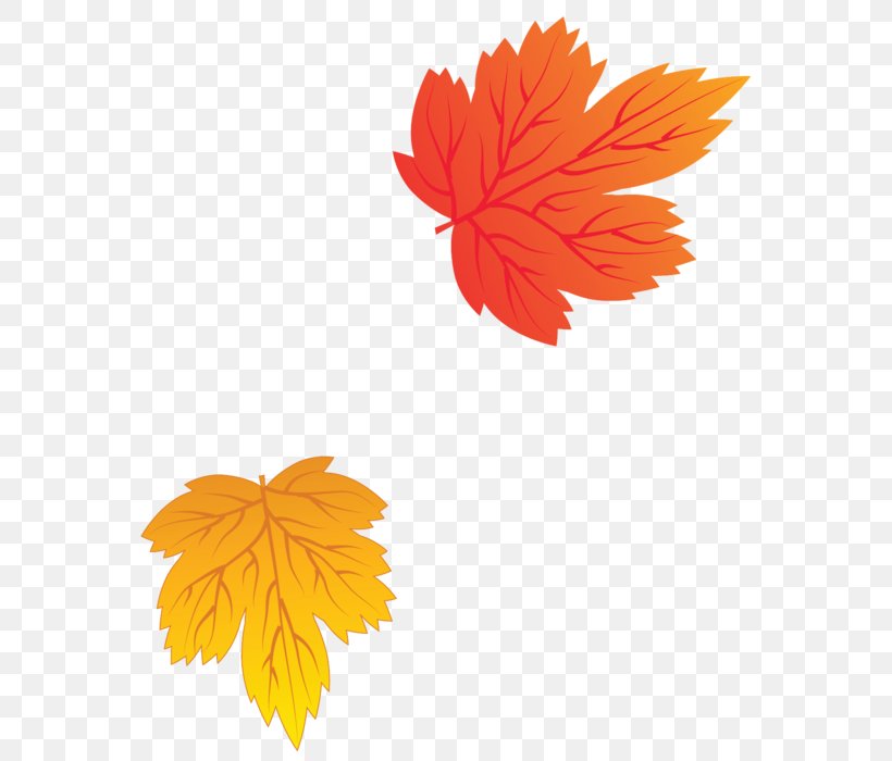 Leaf Autumn Leaves Clip Art, PNG, 590x700px, Leaf, Autumn, Autumn Leaves, Blog, Cloud Download Free