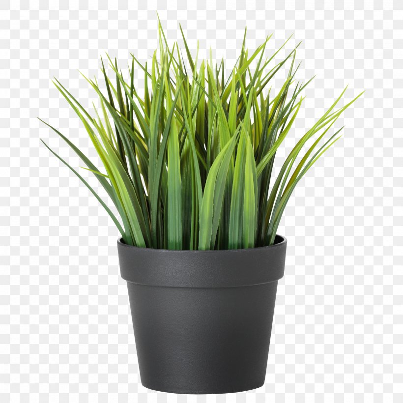 Houseplant Flowerpot Plants For The Home Bamboo, PNG, 2000x2000px, Houseplant, Artificial Flower, Bamboo, Chives, Commodity Download Free