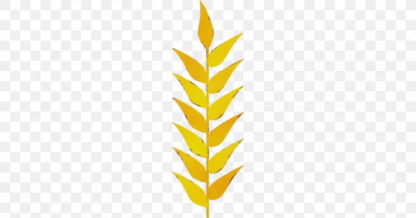 Leaf Yellow Plant Grass Family Vascular Plant, PNG, 1200x630px, Watercolor, Grass Family, Leaf, Paint, Plant Download Free
