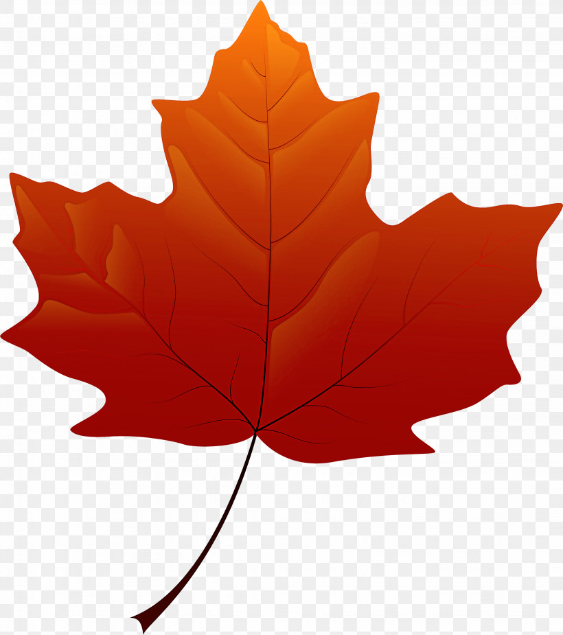 Maple Leaf, PNG, 2659x3000px, Leaf, Black Maple, Deciduous, Maple, Maple Leaf Download Free