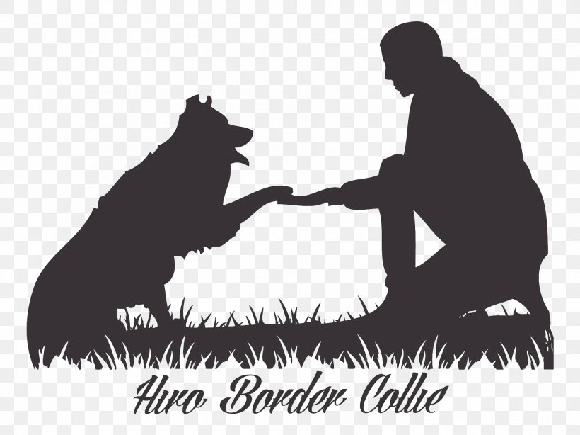 Border Collie Image Video Photography, PNG, 1890x1417px, Border Collie, Animal, Bear, Canidae, Collie Download Free