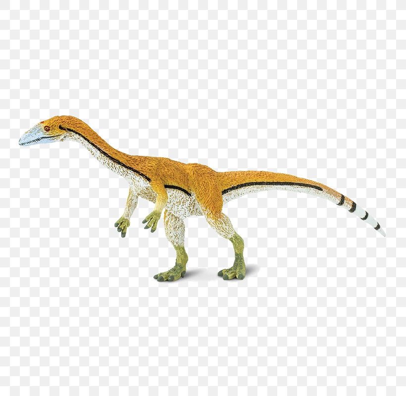 Velociraptor Coelophysis Giganotosaurus Spinosaurus Microraptor, PNG, 800x800px, Velociraptor, Animal, Animal Figure, Carnivore, Coelophysis Download Free