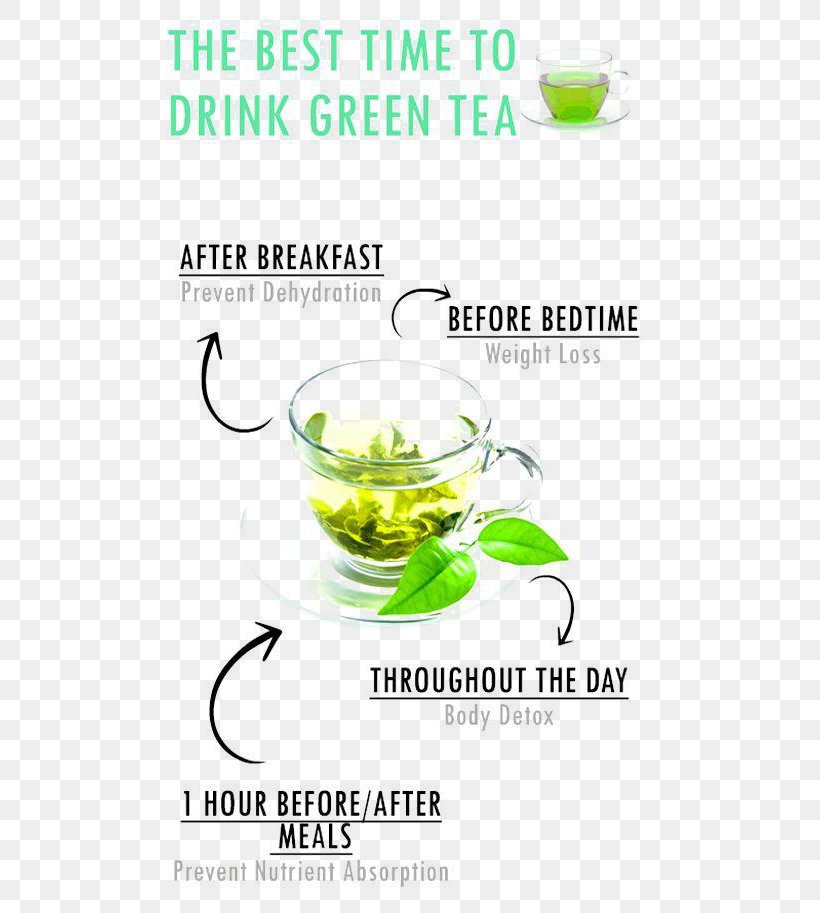 Green Tea Matcha Health Beverages, PNG, 550x913px, Green Tea, Aufguss, Beverages, Brand, Cup Download Free