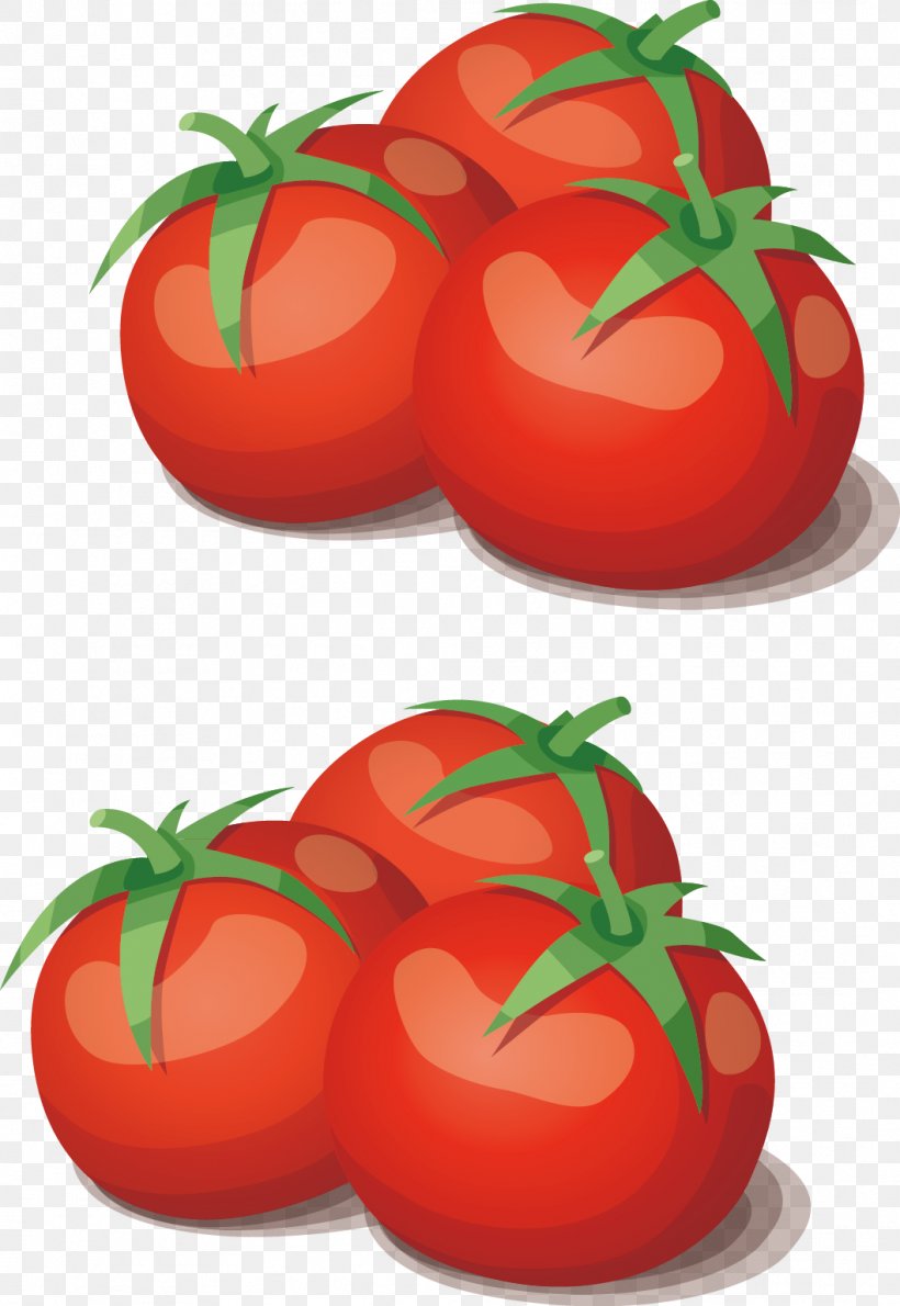 Tomato Vegetable Cooking Food, PNG, 1059x1537px, Tomato, Apple, Bush Tomato, Cartoon, Cooking Download Free