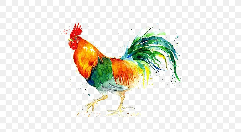 Chicken Painting Rooster Illustration, PNG, 564x451px, Welsummer, Art, Beak, Bird, Chicken Download Free
