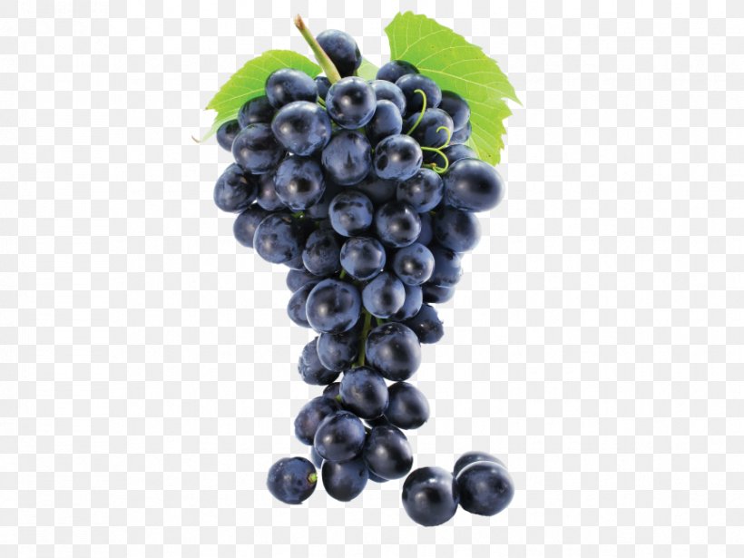 Common Grape Vine Must Juice Sultana, PNG, 866x650px, Common Grape Vine, Accessory Fruit, Berries, Berry, Bilberry Download Free