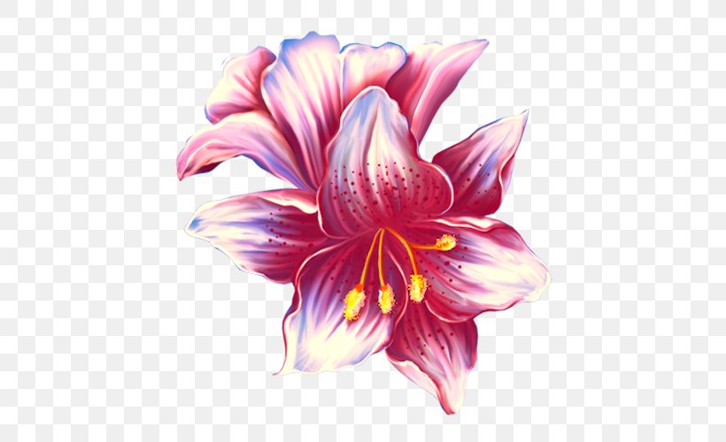 Flower Lilium, PNG, 500x500px, Flower, Amaryllis Belladonna, Amaryllis Family, Blue, Cut Flowers Download Free