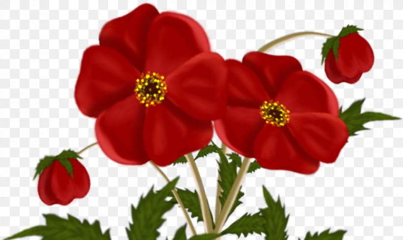 Flower Tulip Clip Art, PNG, 1058x630px, Flower, Annual Plant, Cut Flowers, Floral Design, Flowering Plant Download Free