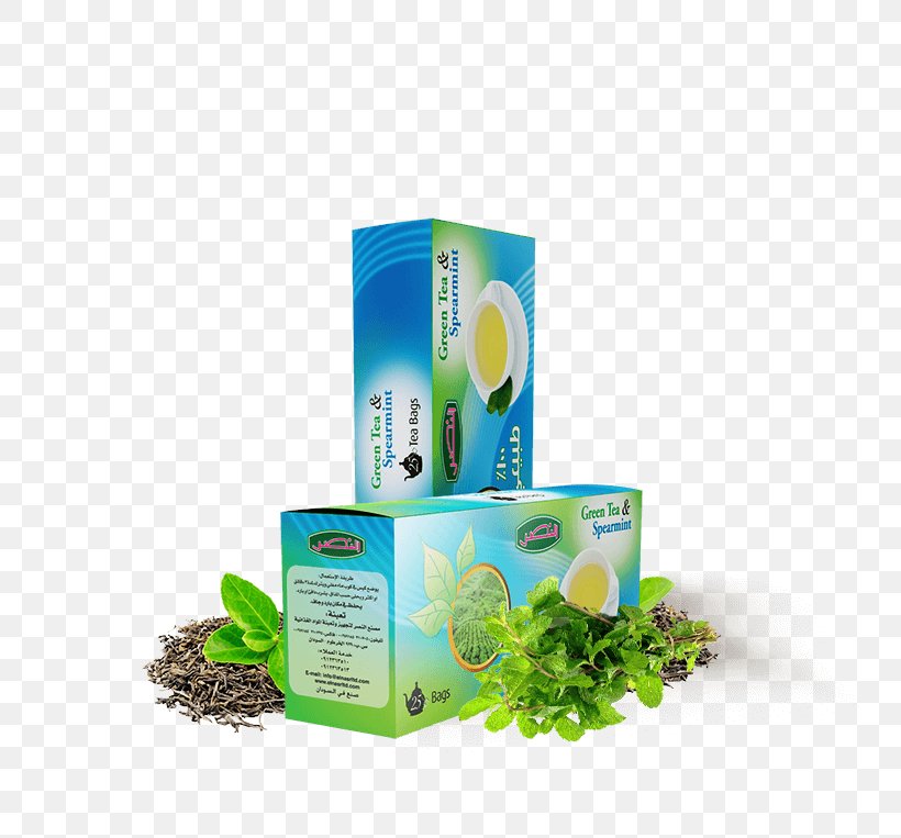 Green Tea Tea Bag Tea Blending And Additives Mentha Spicata, PNG, 750x763px, Tea, Bag, Brand, Flavor, Fruit Download Free