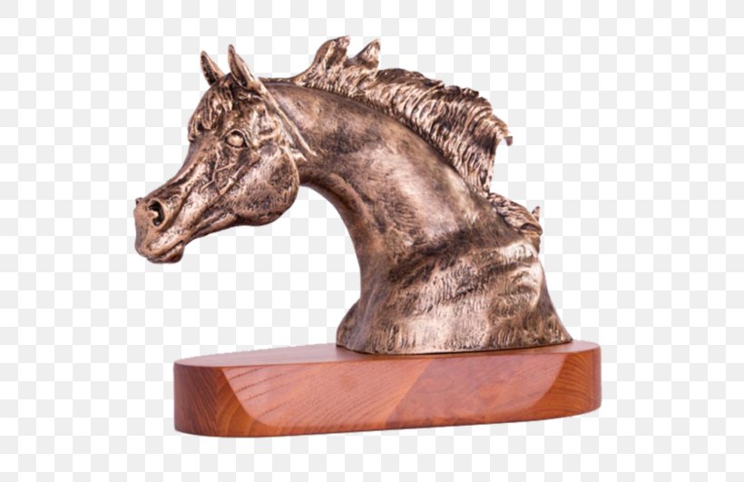 Horse Awards Recognition Concepts Trophy Medal, PNG, 600x531px, Horse, Award, Bronze, Bronze Medal, Commemorative Plaque Download Free