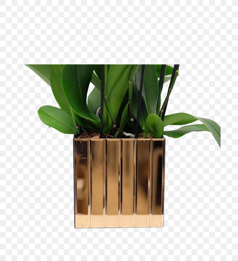 Houseplant Flowerpot Product Design, PNG, 700x900px, Houseplant, Flowerpot, Grass, Plant, Table Download Free