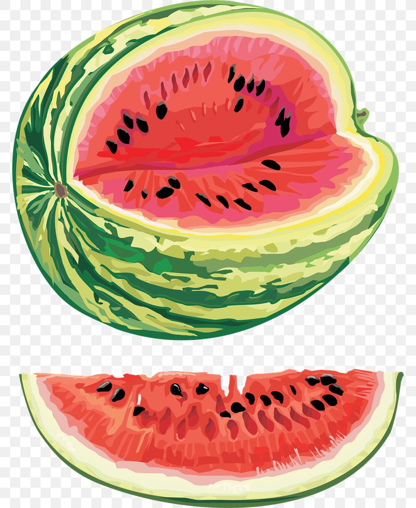 Cantaloupe Watermelon Seed Oil Clip Art, PNG, 772x1000px, Cantaloupe, Citrullus, Citrullus Lanatus Var Lanatus, Cucumber Gourd And Melon Family, Cucumis Download Free