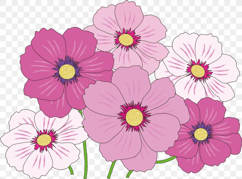 Flower Color Clip Art, PNG, 2362x1752px, Flower, Annual Plant, Color, Cosmos, Dahlia Download Free