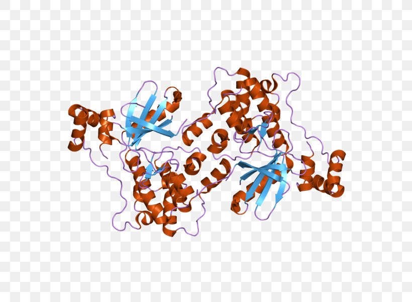 MARK2 Serine/threonine-specific Protein Kinase Serine/threonine ...