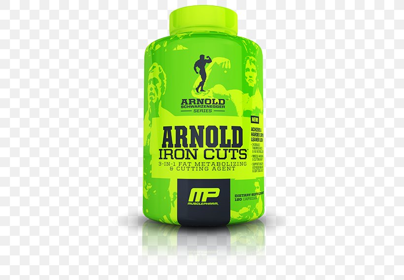 Dietary Supplement MusclePharm Corp Iron Branched-chain Amino Acid, PNG, 460x570px, Dietary Supplement, Adipose Tissue, Arnold Schwarzenegger, Bodybuilding, Branchedchain Amino Acid Download Free