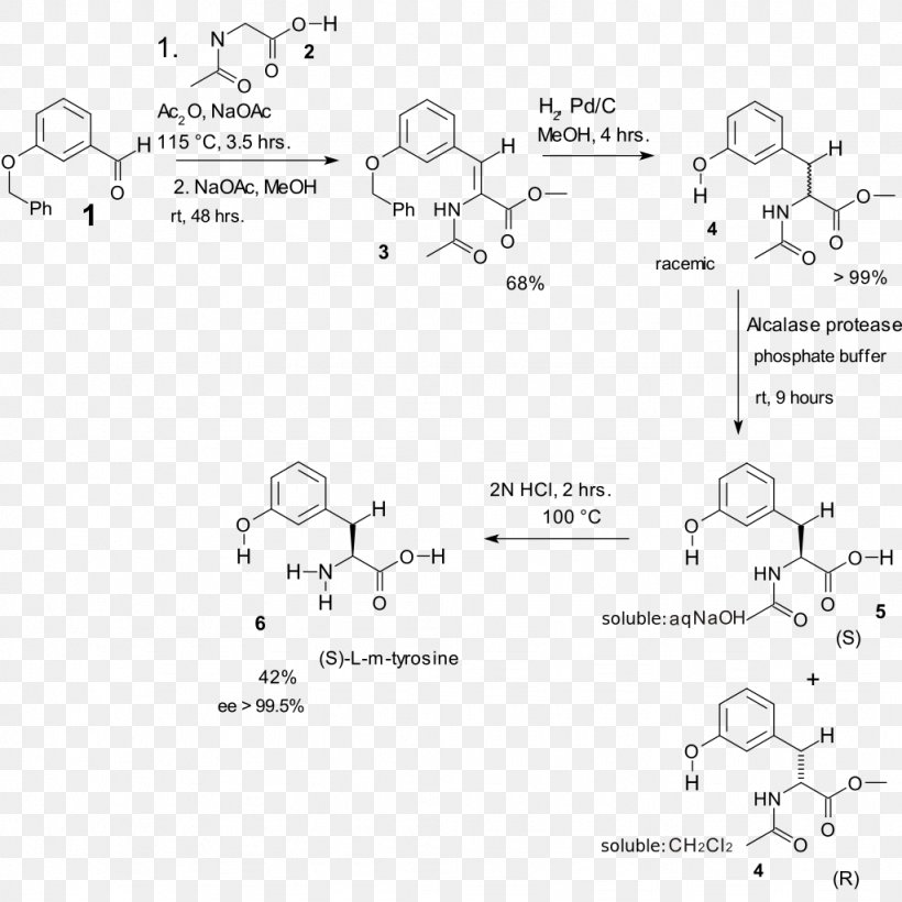 Erlenmeyer–Plöchl Azlactone And Amino-acid Synthesis Amino Acid Chemical Synthesis Phenylalanine Condensation Reaction, PNG, 1024x1024px, Amino Acid, Acetic Anhydride, Acid, Amino Acid Synthesis, Area Download Free