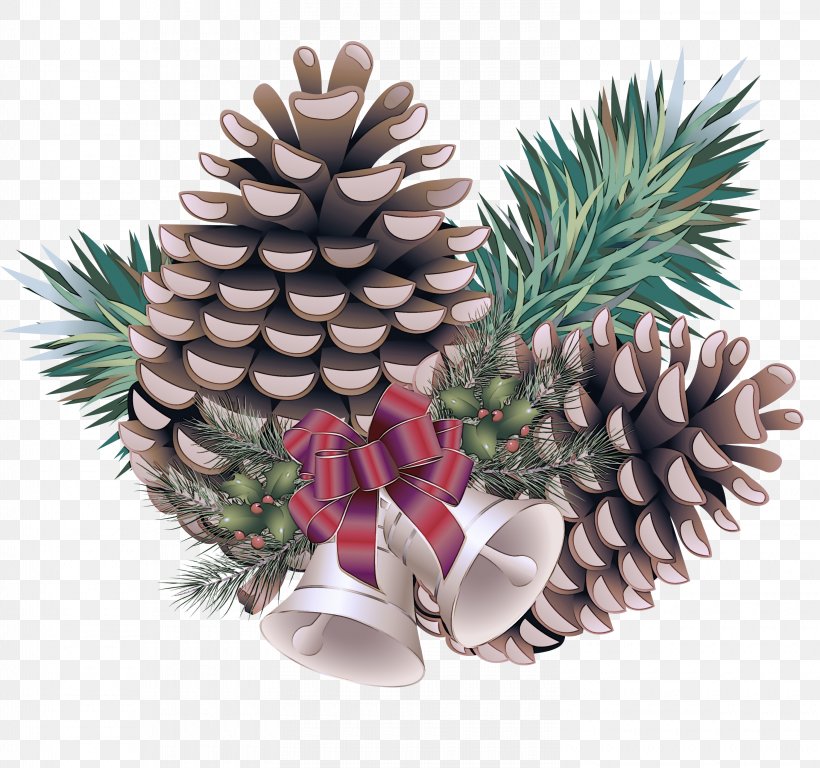 Pineapple, PNG, 3000x2811px, Sugar Pine, Colorado Spruce, Conifer Cone, Oregon Pine, Pine Download Free