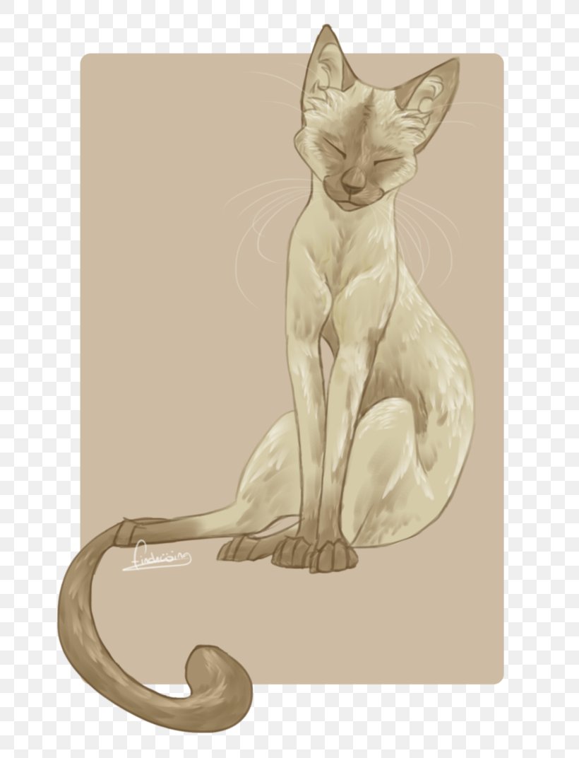 Whiskers Kitten Siamese Cat Sphynx Cat, PNG, 746x1072px, Whiskers, Art, Carnivoran, Cat, Cat Like Mammal Download Free
