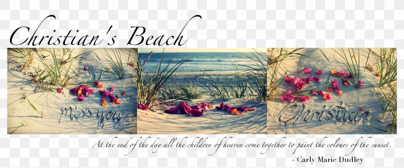 Beach Infant Name Australia Father, PNG, 1348x562px, Beach, Advertising, Artwork, August 25, Australia Download Free