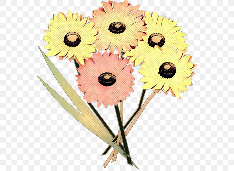 Common Sunflower Cut Flowers Transvaal Daisy Floral Design, PNG, 564x600px, Common Sunflower, Asterales, Cut Flowers, Daisy, Daisy Family Download Free