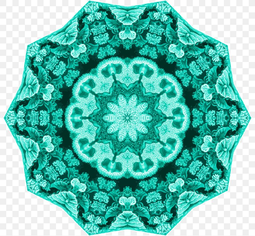 Art Forms In Nature Symmetry Hexacorallia, PNG, 800x761px, Art Forms In Nature, Aqua, Coral, Drawing, Ernst Haeckel Download Free